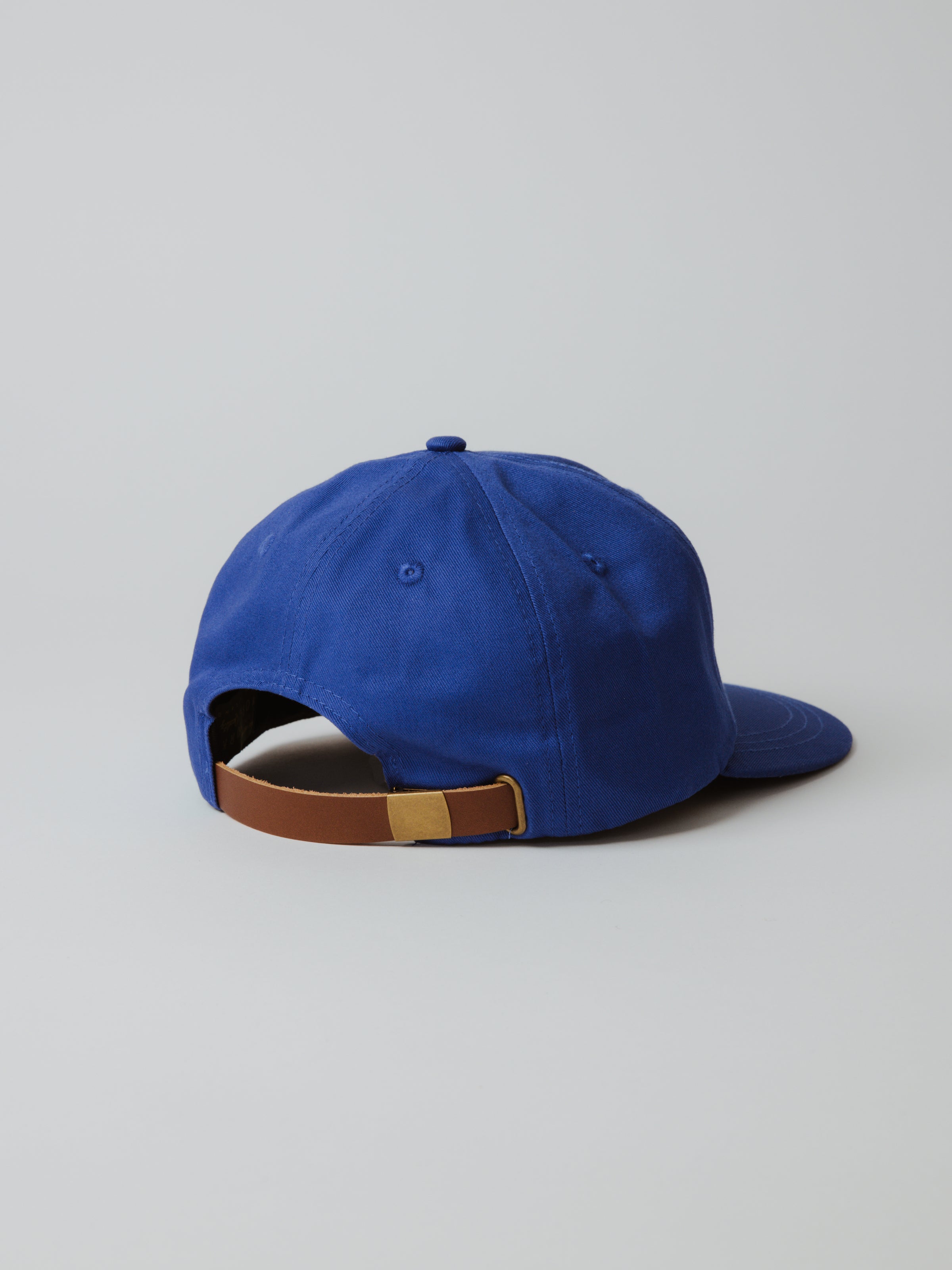 Geese Six-Panel - Royal Blue | Moreporks