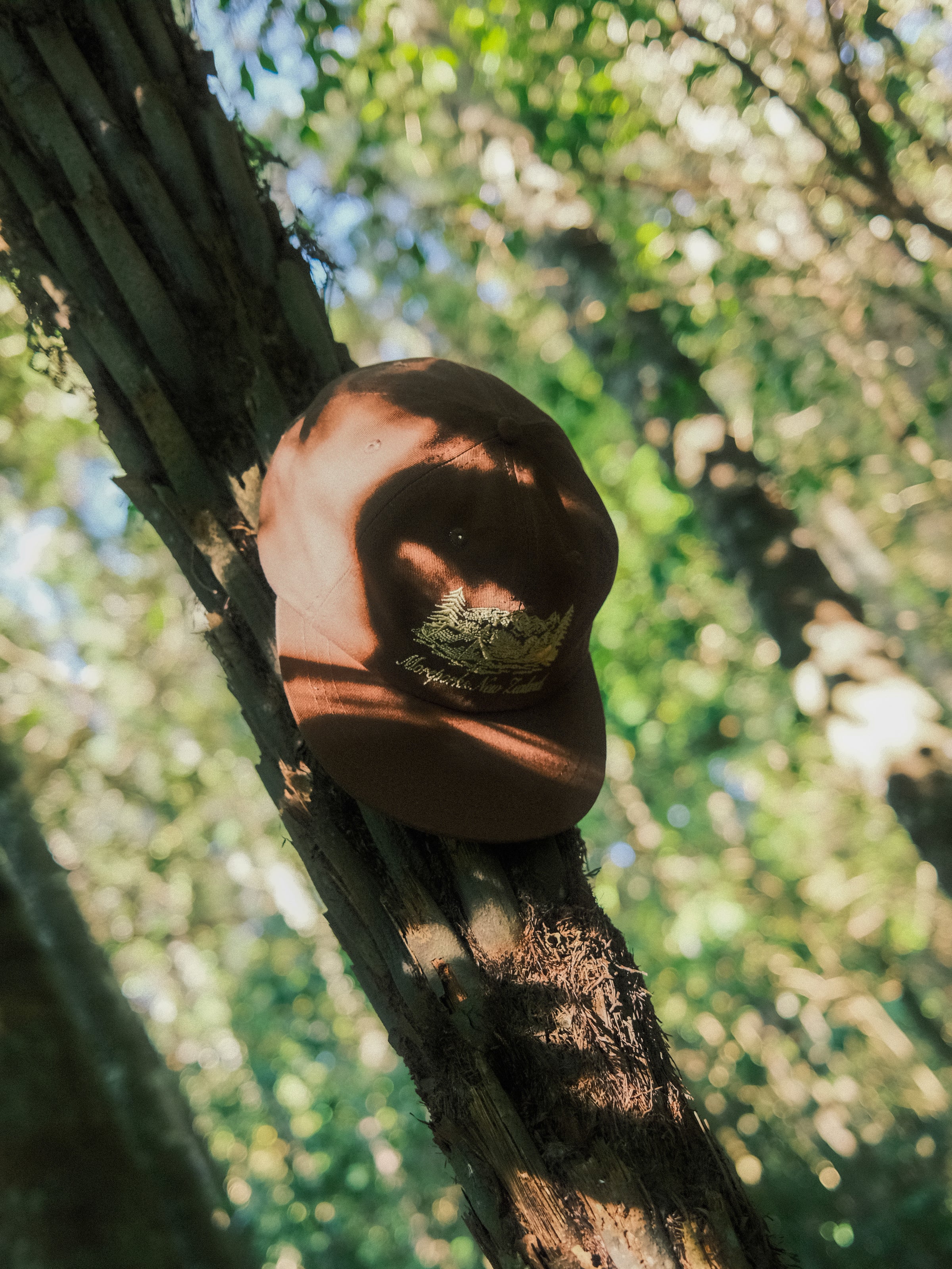 Mackenzie Six-Panel - Brown | Moreporks