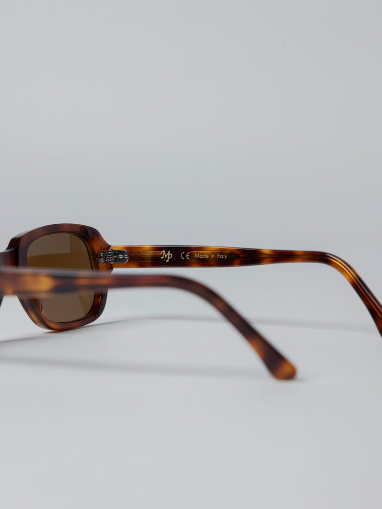 Southern Wayfarer - Tortoise